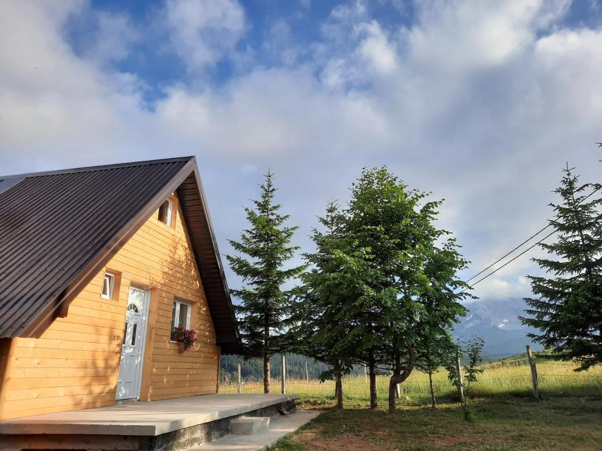 Vila Aleksandar Žabljak Exteriör bild