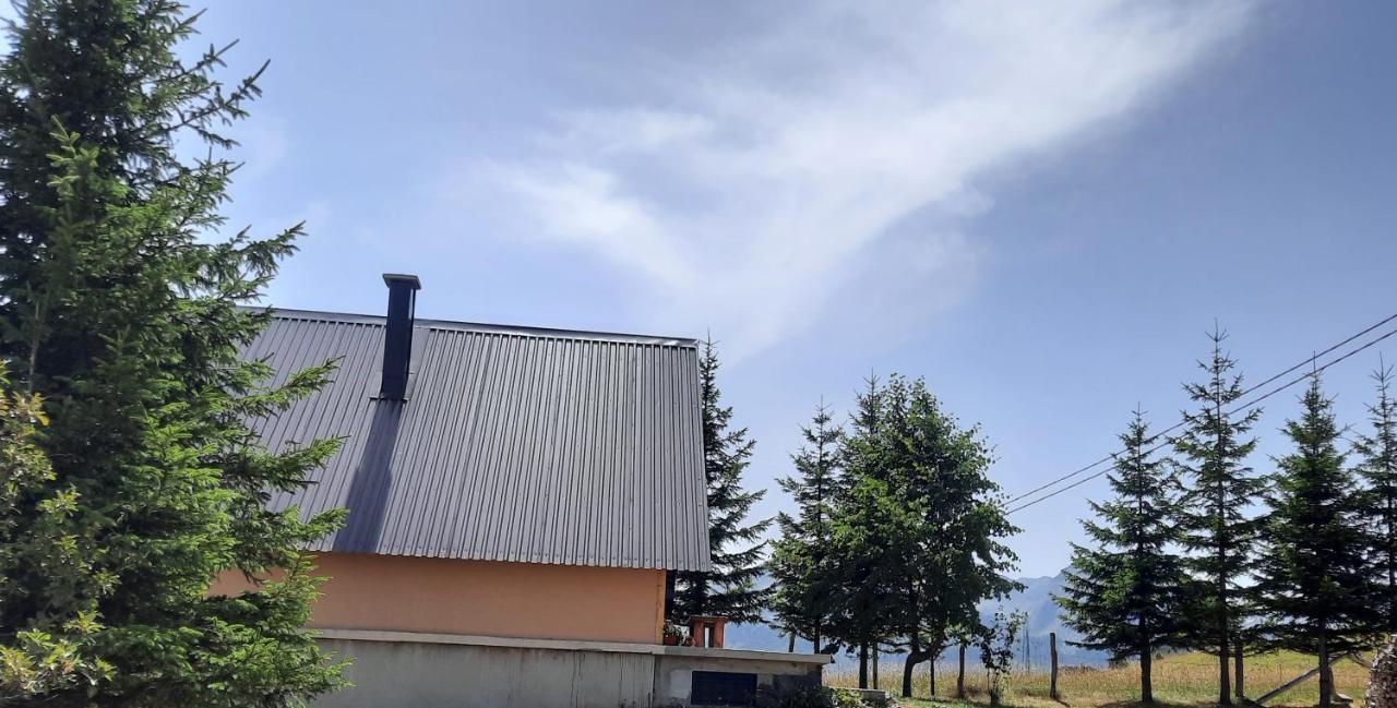 Vila Aleksandar Žabljak Exteriör bild