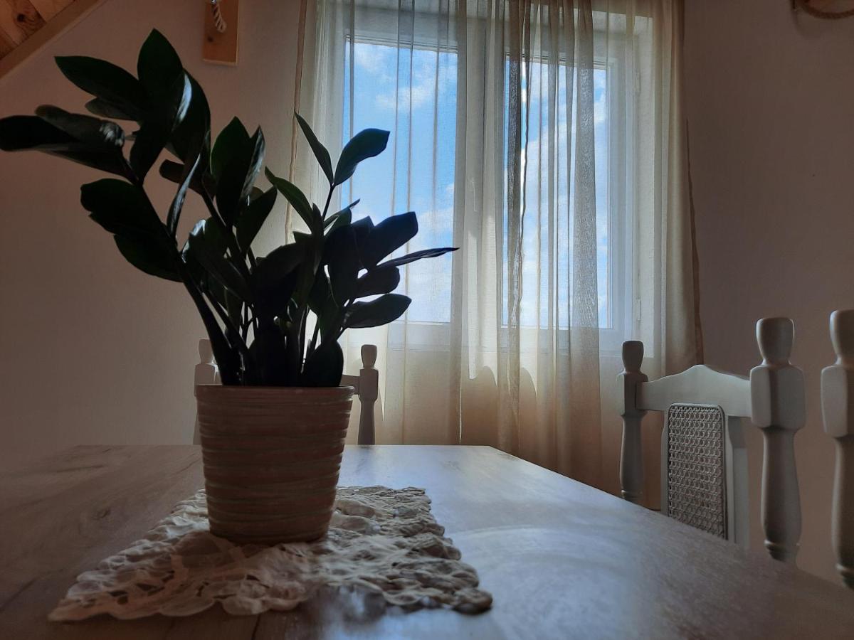 Vila Aleksandar Žabljak Exteriör bild