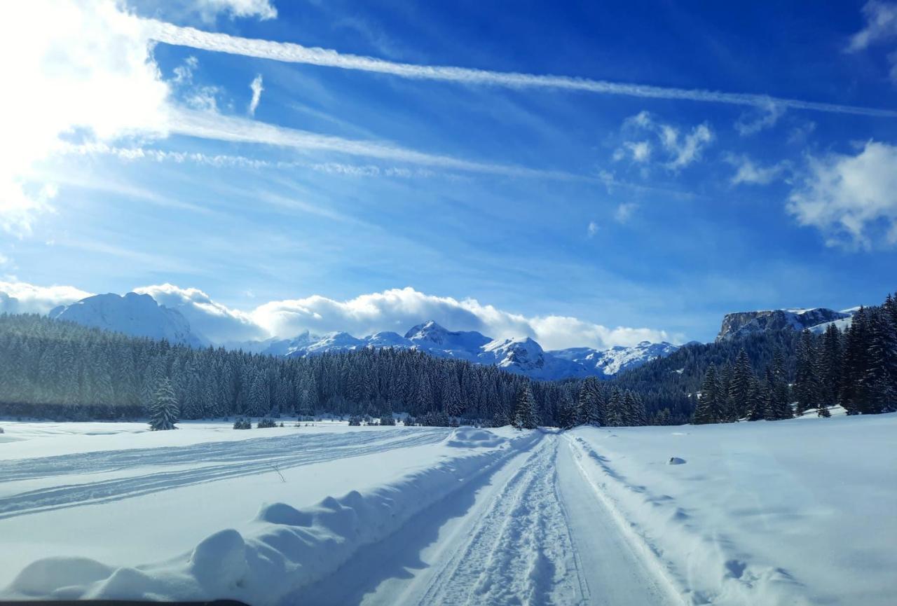 Vila Aleksandar Žabljak Exteriör bild